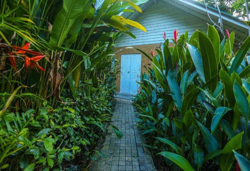 シャレー・スペリアー1寝室, Ilukketiya Tea Chalets