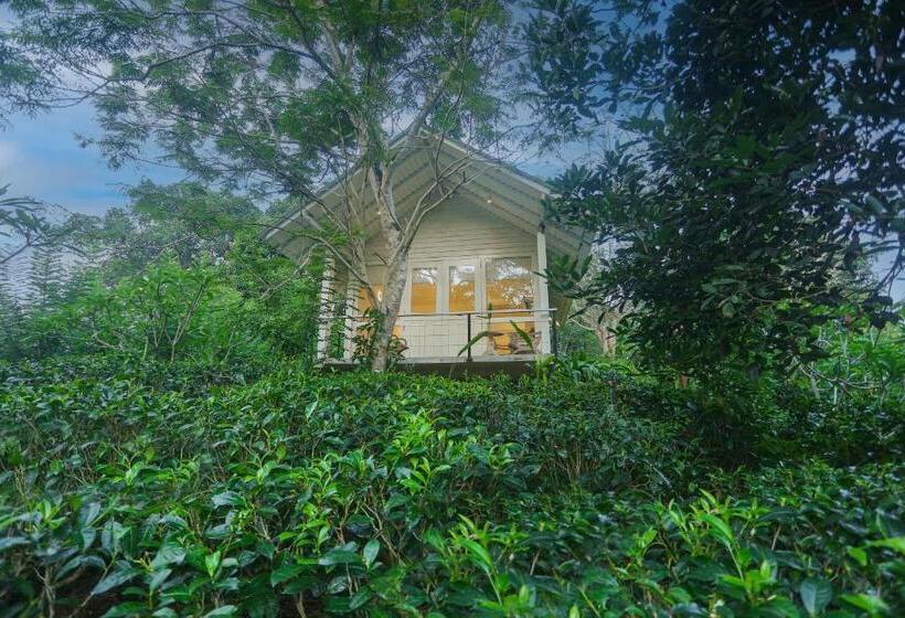 シャレー・スペリアー1寝室, Ilukketiya Tea Chalets