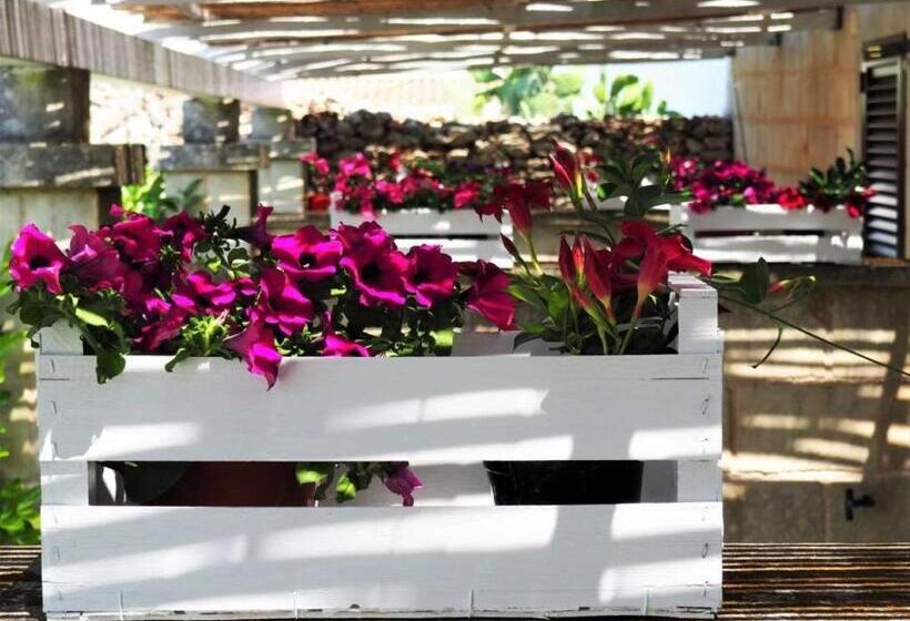 آپارتمان 1 خوابه با چشم‌انداز باغ, Masseria Salentina   Costarella
