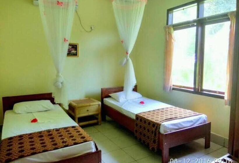 Family Suite, Sea World Club Beach Resort & Dive Center
