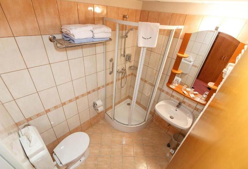 Habitaci�n Est�ndar Abuhardillada, Kehida Termál Resort & Spa