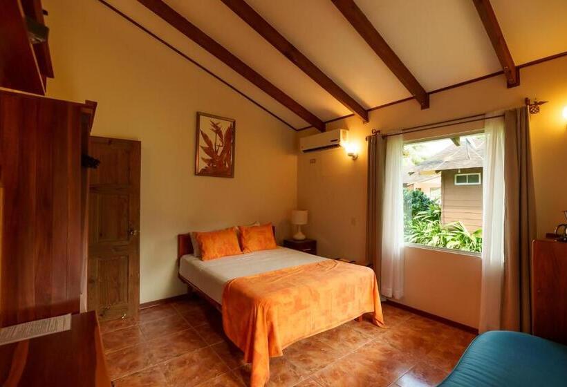 اتاق استاندارد, Eco Arenal