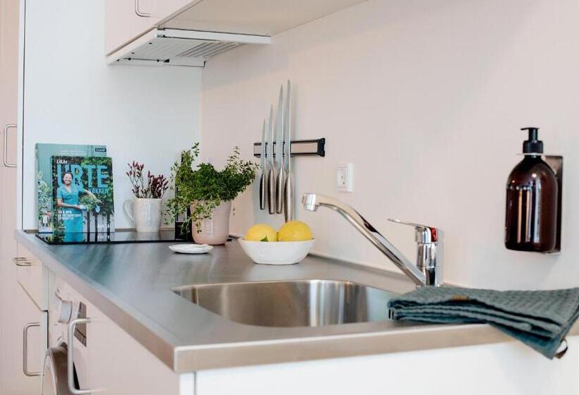 استودیوی استاندارد, Studio1a Hotel Apartments