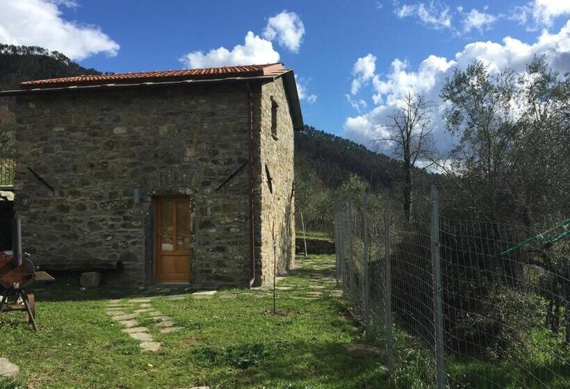 스탠다드 스튜디오, I Due Ghiri Cinque Terre  Organic Food And Wine