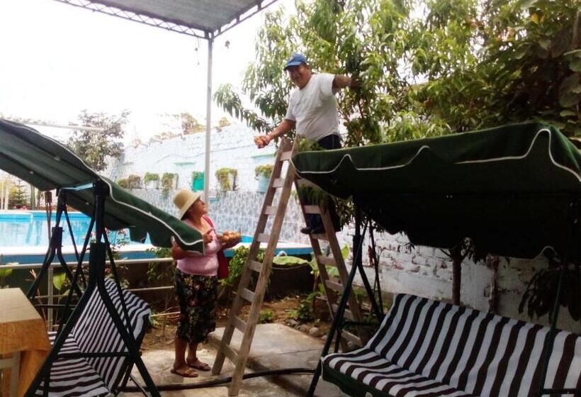 اتاق استاندارد یک نفره, Pisco Hotel Corina