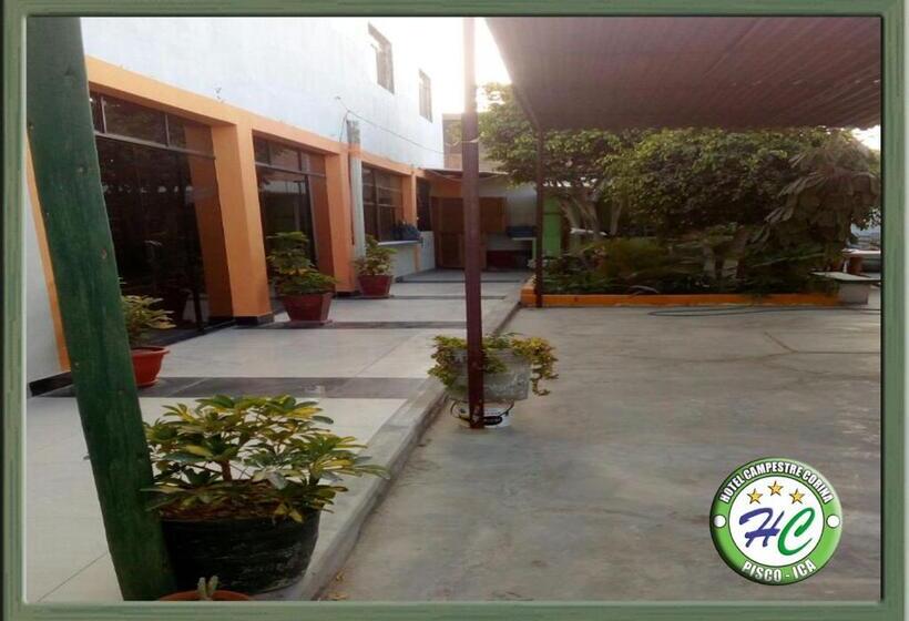 اتاق استاندارد, Pisco Hotel Corina