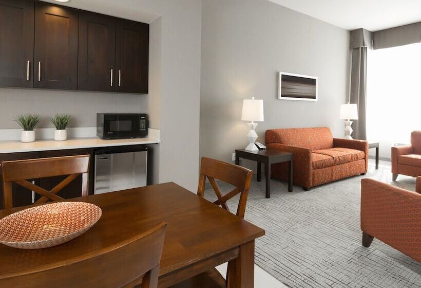 سوییت, Holiday Inn Hotel & Suites Davenport, An Ihg
