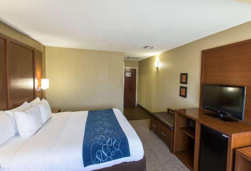 Люкс Адаптированный для Инвалидов, Comfort Suites Idabel