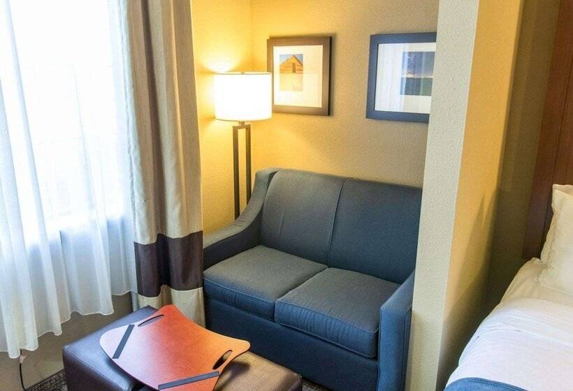 Люкс Адаптированный для Инвалидов, Comfort Suites Idabel