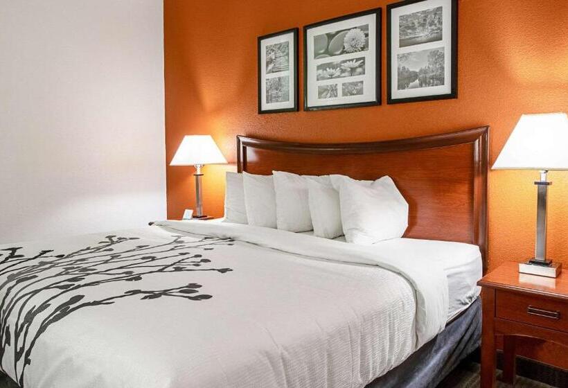 Стандартный Номер Кровать Кинг, Sleep Inn & Suites