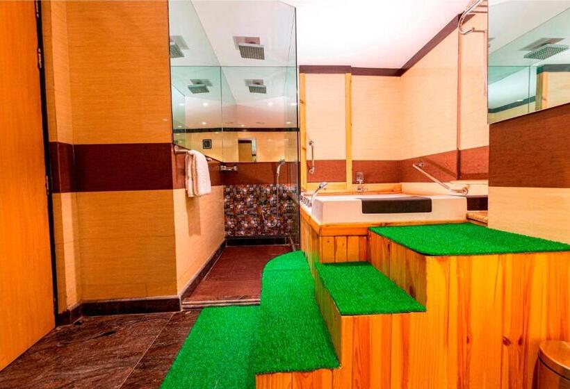 Люкс, Ramada Neemrana