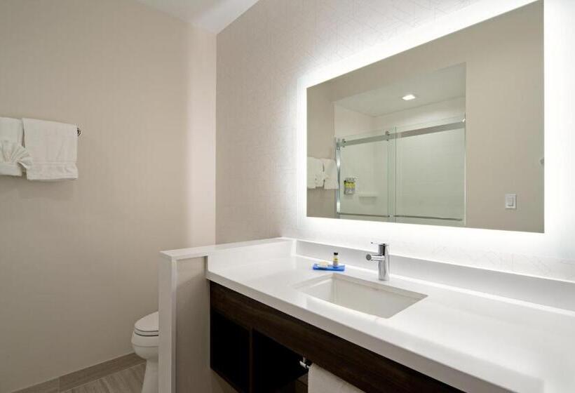 스위트 킹사이즈 침대, Holiday Inn Express & Suites   Valencia   Santa Clarita, An Ihg