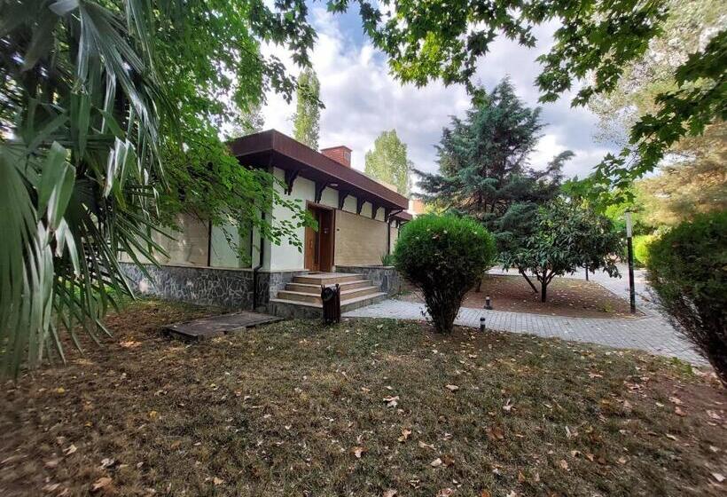 اتاق خانوادگی, Sheki Olimp Villa