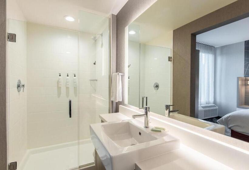 Люкс Кровать Кинг, Springhill Suites By Marriott Chester