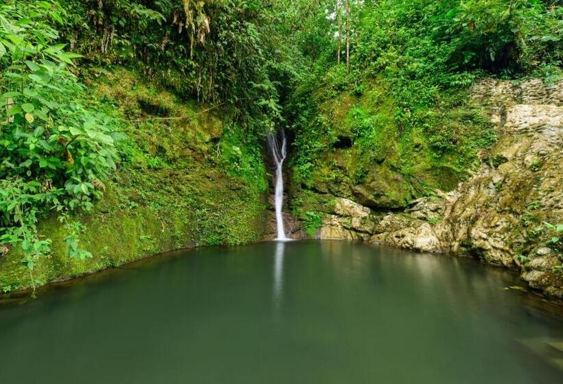 اتاق استاندارد, Rivel   Restaurant & Nature Retreat