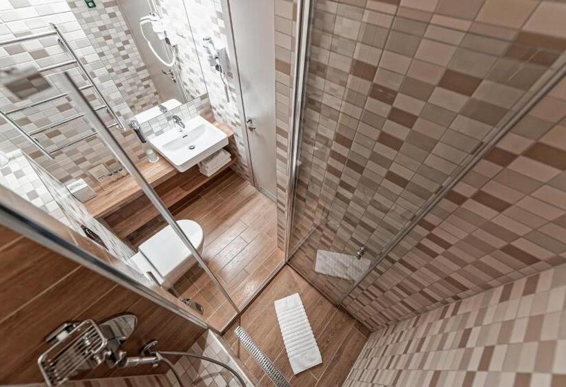 اتاق استاندارد با دسترسی به اسپا, Spa Vilnius Druskininkai
