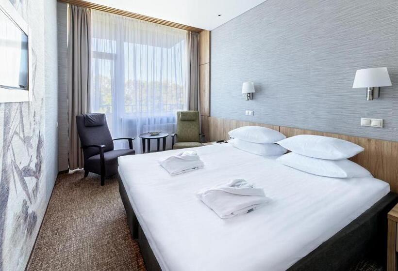 اتاق استاندارد با دسترسی به اسپا, Spa Vilnius Druskininkai