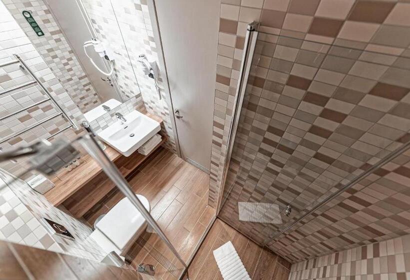 اتاق استاندارد با دسترسی به اسپا, Spa Vilnius Druskininkai