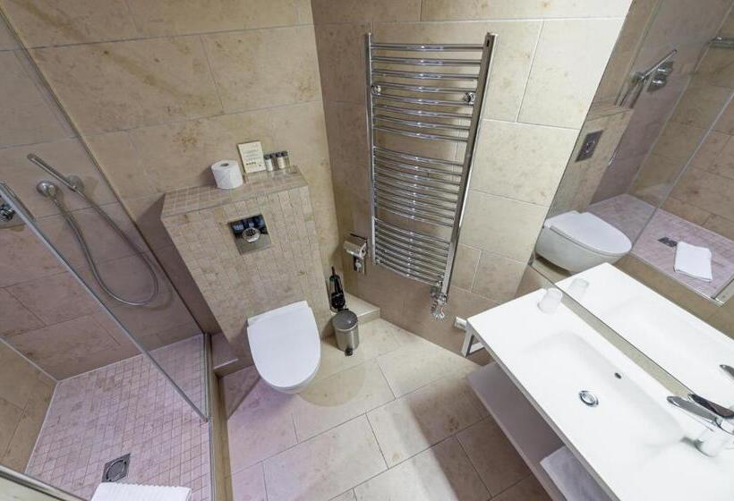 اتاق لوکس با بالکن, Spa Vilnius Druskininkai