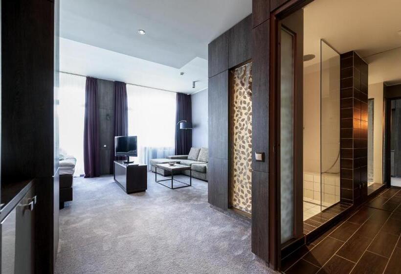 استودیو استاندارد با بالکن, Spa Vilnius Druskininkai