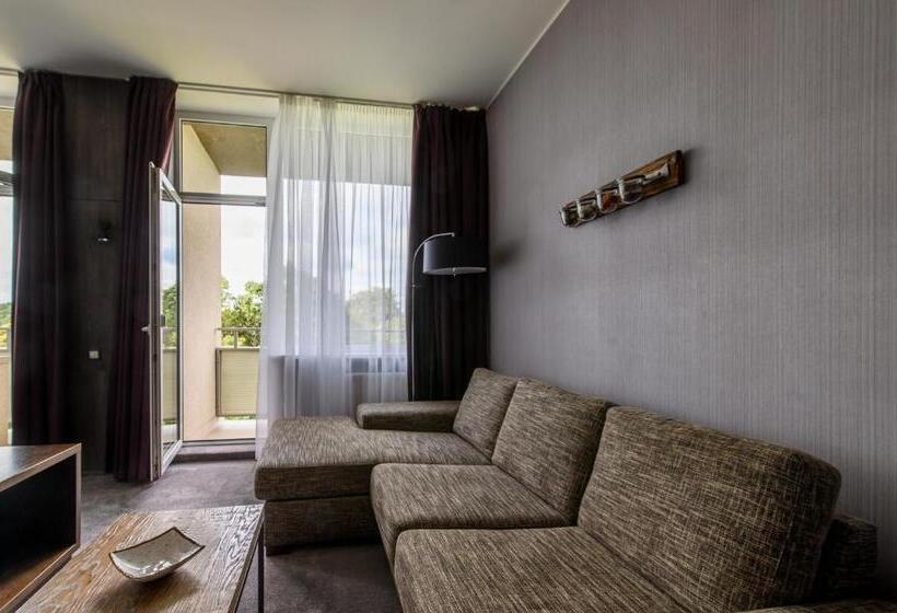 استودیو استاندارد با بالکن, Spa Vilnius Druskininkai