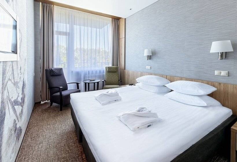اتاق استاندارد با دسترسی به اسپا, Spa Vilnius Druskininkai