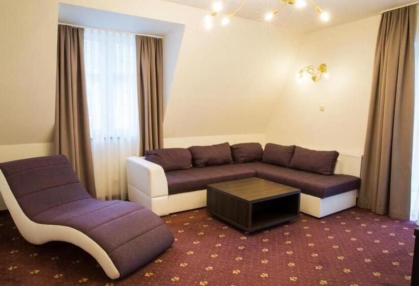 带1个卧室的公寓, Jantar Wellness & Spa
