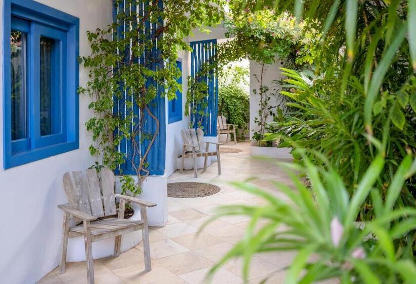 اتاق لوکس, Vila Maria Pousada