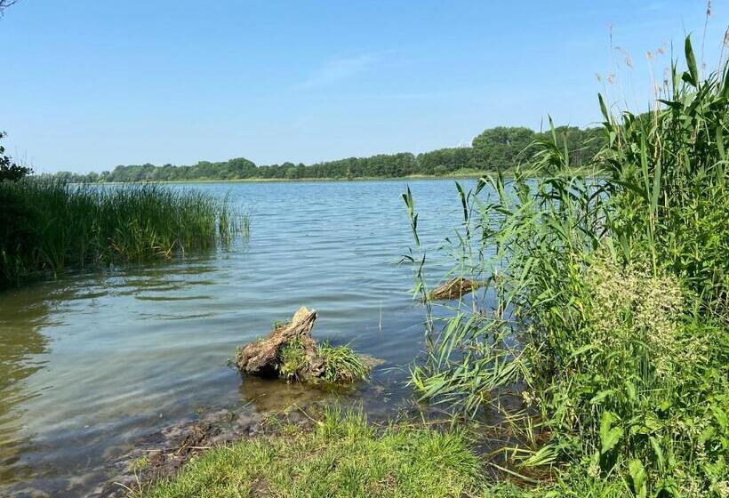 Номер Стандарт Трехместный, K 357   Low Budget Hotel   Ostsee Lounge   In Ratekau Bei Lübeck