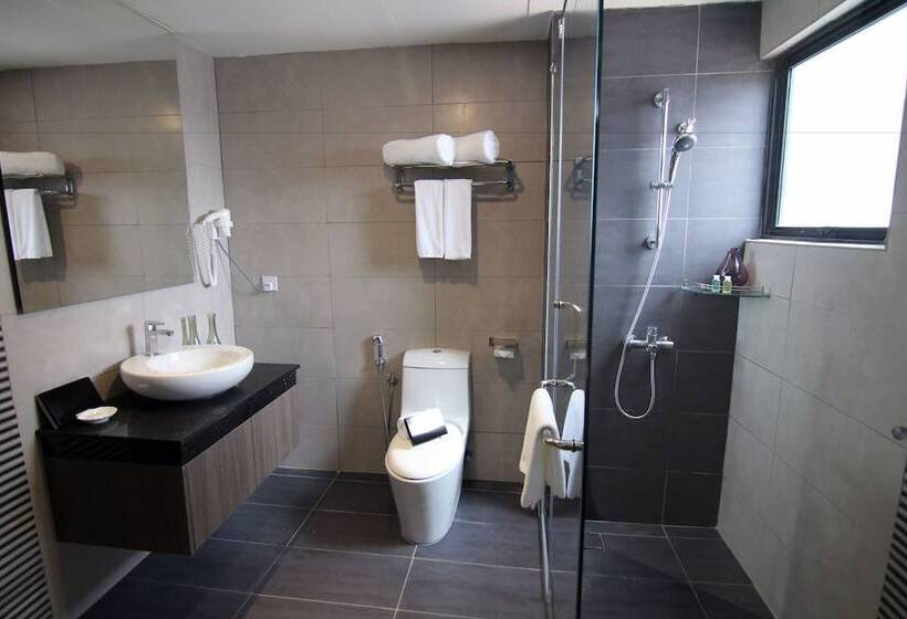Полулюкс, Nexus Regency Suites &
