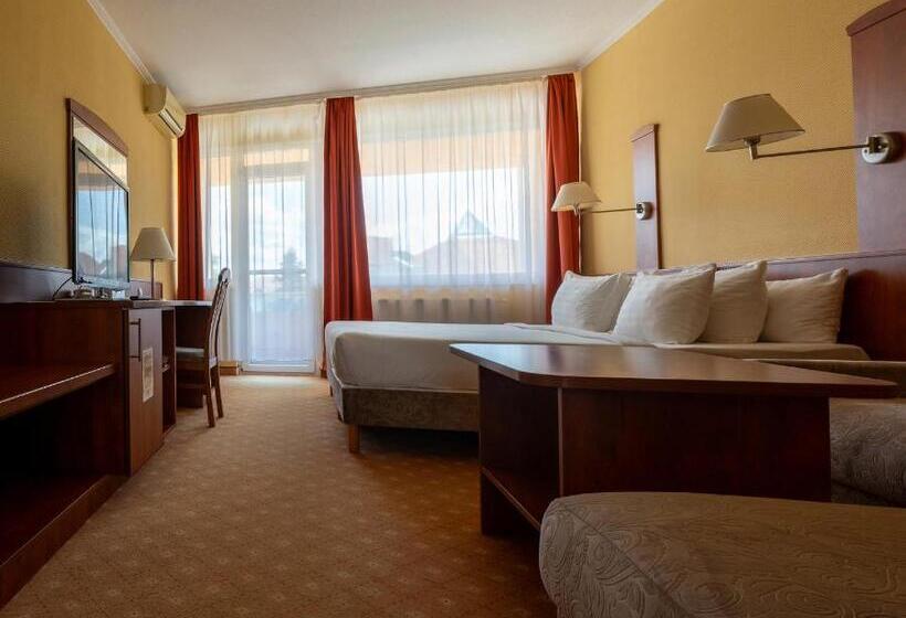 اتاق سوپریور, Belenus Thermalhotel Superior