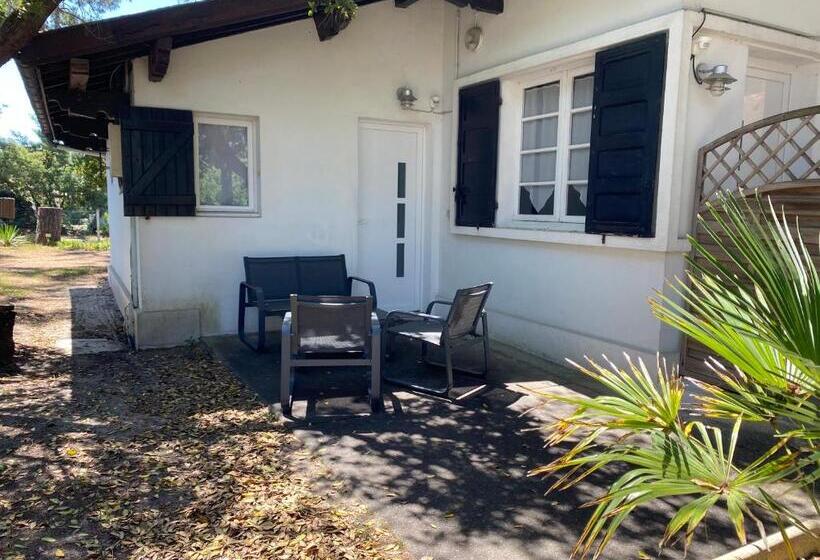 اتاق استاندارد با تراس, Logis Hôtel Emeraude Des Bois