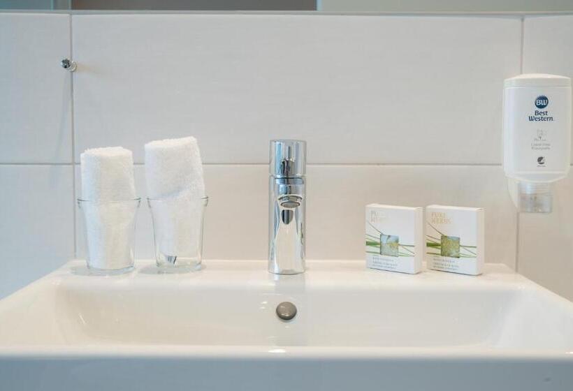 Номер Deluxe Вид на Озеро, Best Western Hotel Rebstock