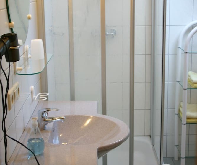 Апартаменты 1 Спальня, Birnbaumhof   Hotel Pension Und Ferienwohnungen