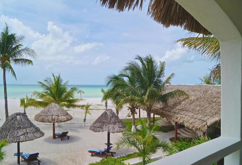 オーシャンビュースタンダードルーム, Puerto Holbox Beach Front