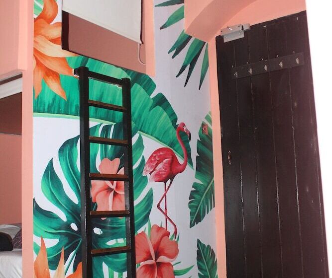 Кровать в Общей Комнате, Hostal Seven Nights Cartagena