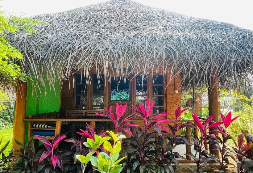 Семейный Номер Вид на Сад, Vitamin Sea Beach Cabana