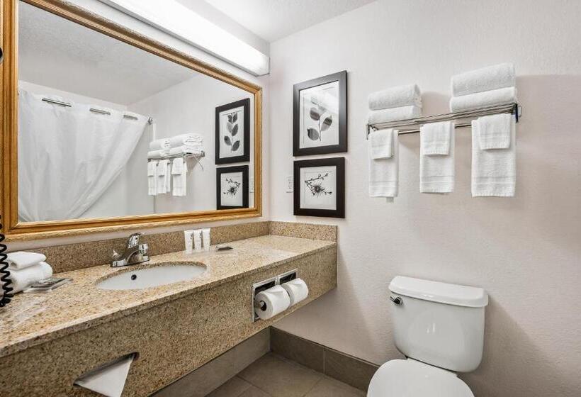 Студио Стандарт Кровать Кинг, Country Inn & Suites By Radisson, Port Canaveral, Fl