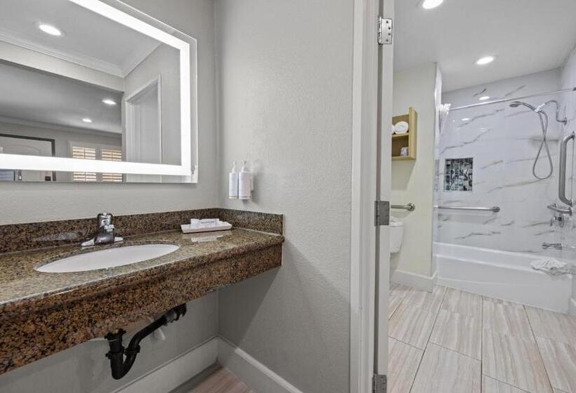 חדר קומפורט יחיד, Del Sol Inn Anaheim
