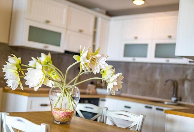 Апартаменты Deluxe 3 Спальни, Vila Bisera
