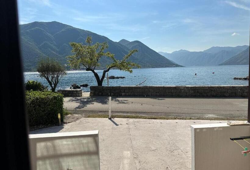 استودیوی استاندارد, Accommodation Tomcuk