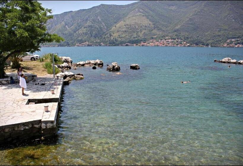 آپارتمان 1 خوابه با تراس, Accommodation Tomcuk