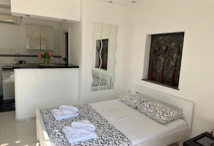 استودیوی استاندارد, Accommodation Tomcuk