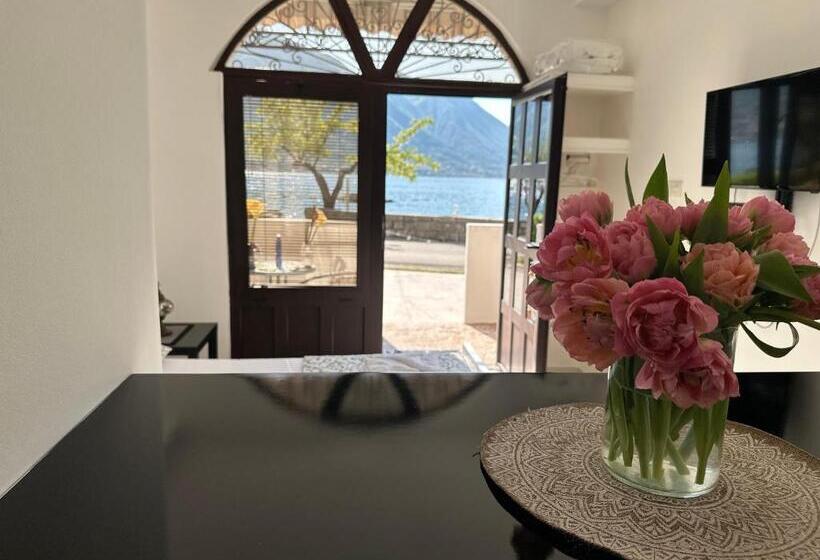 استودیوی استاندارد, Accommodation Tomcuk
