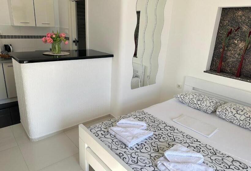 استودیوی استاندارد, Accommodation Tomcuk