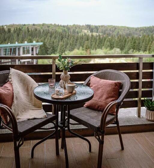 اتاق سوپریور, Silver Mountain Resort & Spa