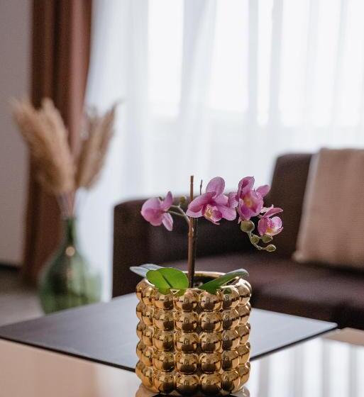 带1个卧室的公寓, Silver Mountain Resort & Spa
