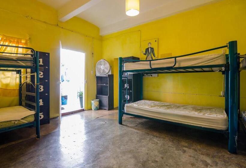 تختخواب در اتاق مشترک, Casa De Don Pablo Hostel