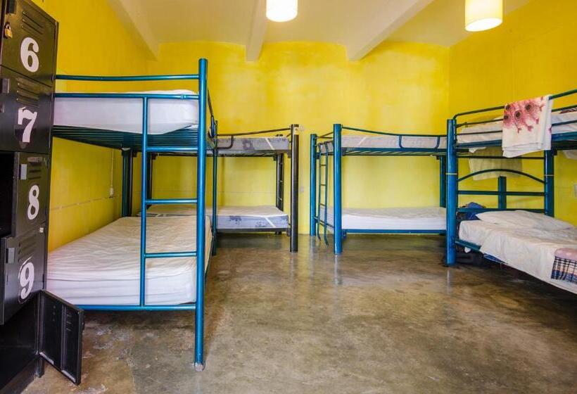 تختخواب در اتاق مشترک, Casa De Don Pablo Hostel