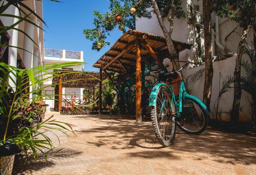 اتاق استاندارد با تخت بزرگ, Villas Palmar Holbox